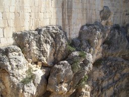 Castillo de Mula 2010